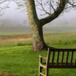 DaySpring Retreat scene of a bench overlooking misty fields