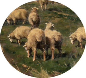 a cluster of sheep
